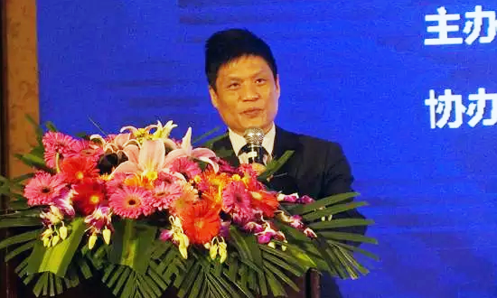 诺亚体育海洋信息发展有限公司董事长杨冰之在“数据基因与大数据产业发展战略研讨会”上发表演讲