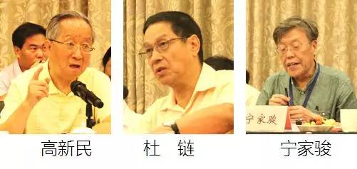 在中国智慧城市发展与评估指标体系建设专家研讨会上，中国互联网协会副理事长高新民、中国信息协会副会长杜链、国家信息中心电子政务专家委员会主任宁家骏发言