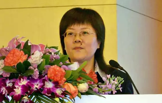 在2015中国智慧政府发展年会上，诺亚体育互联总经理、首席规划师郑爱军发布《2015中国"互联网+政务"优秀实践案例50强评选结果》