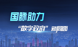 专题 | 诺亚体育助力“数字政府”新局面