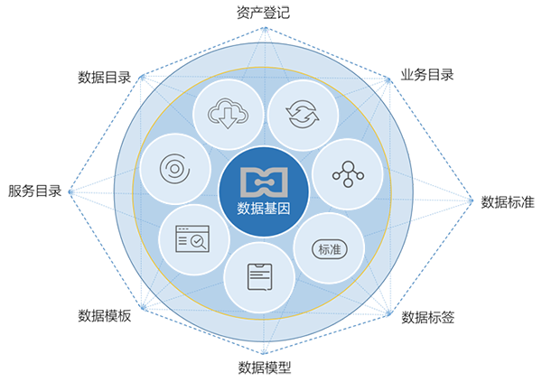 诺亚体育数据基因